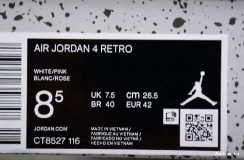 CT8527-116 CT8527-116 Wow  Air GS 4 Cacao Jordan 0423